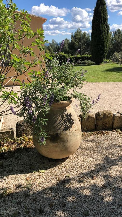 Le Mas Des Pignes -Adults Only Aix-en-Provence Zewnętrze zdjęcie